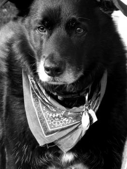 post-1964-0-70874000-1378255127_thumb.jp