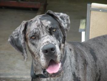 post-2816-0-38547400-1378191330_thumb.jp