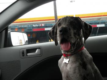 post-2816-0-65804100-1378191235_thumb.jp